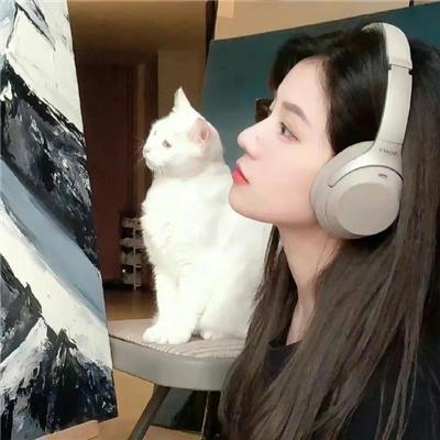 恋情的终结