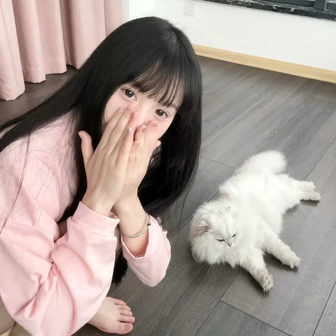 阿莱蒂公主